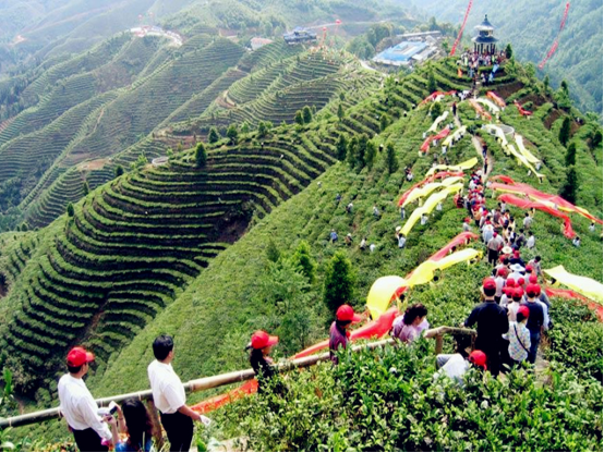 百色旅游景點攻略_百色旅游景區_百色旅游攻略必去景點