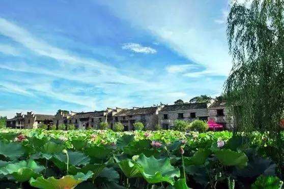黃草鎮景點攻略_去黃草鎮哪里住宿好_東江湖黃草鎮旅游攻略