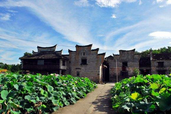 東江湖黃草鎮旅游攻略_黃草鎮景點攻略_去黃草鎮哪里住宿好
