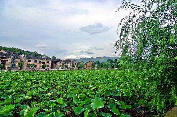去黃草鎮哪里住宿好_黃草鎮景點攻略_東江湖黃草鎮旅游攻略