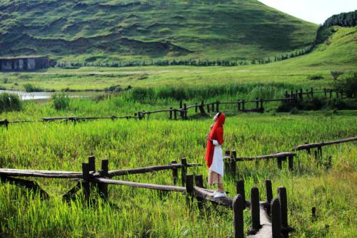 黃草鎮景點攻略_去黃草鎮哪里住宿好_東江湖黃草鎮旅游攻略