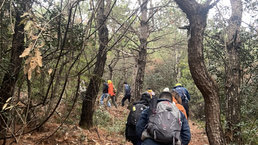 穹窿山山洞_穹窿山游玩攻略_穹窿山山頂上有景色如何