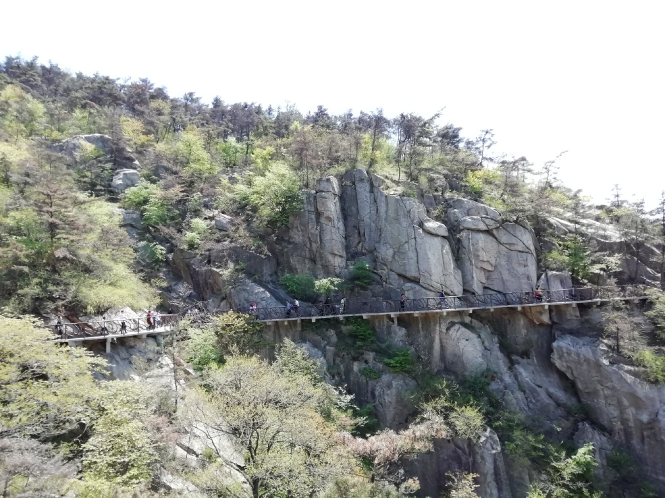 沂蒙山龜蒙景區攻略自駕游_沂蒙山龜蒙景區門票_沂蒙山龜蒙景區攻略