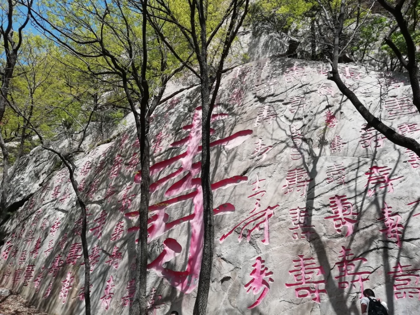沂蒙山龜蒙景區攻略自駕游_沂蒙山龜蒙景區門票_沂蒙山龜蒙景區攻略