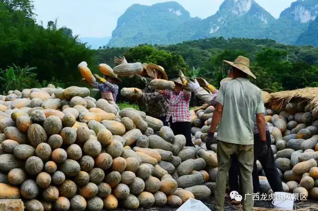 龍虎山隆安_隆安龍虎山風景區旅游攻略_隆安龍虎山門票多少錢