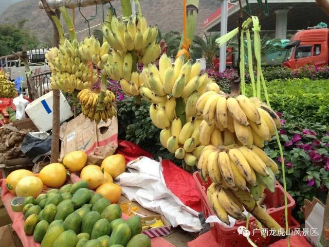 龍虎山隆安_隆安龍虎山門票多少錢_隆安龍虎山風景區旅游攻略