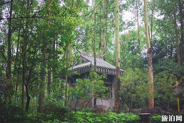 塘郎山郊野公園_塘朗山郊野徑_塘朗山郊野公園游玩攻略