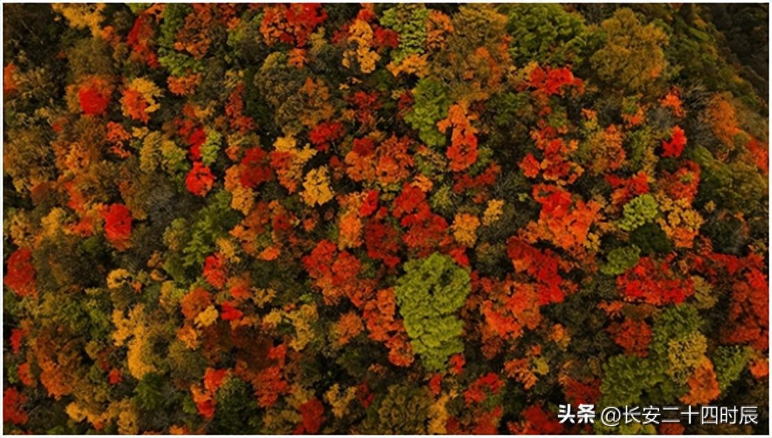 太白山自駕游攻略_自駕太白山旅游攻略一日游_自駕游太白山旅游攻略