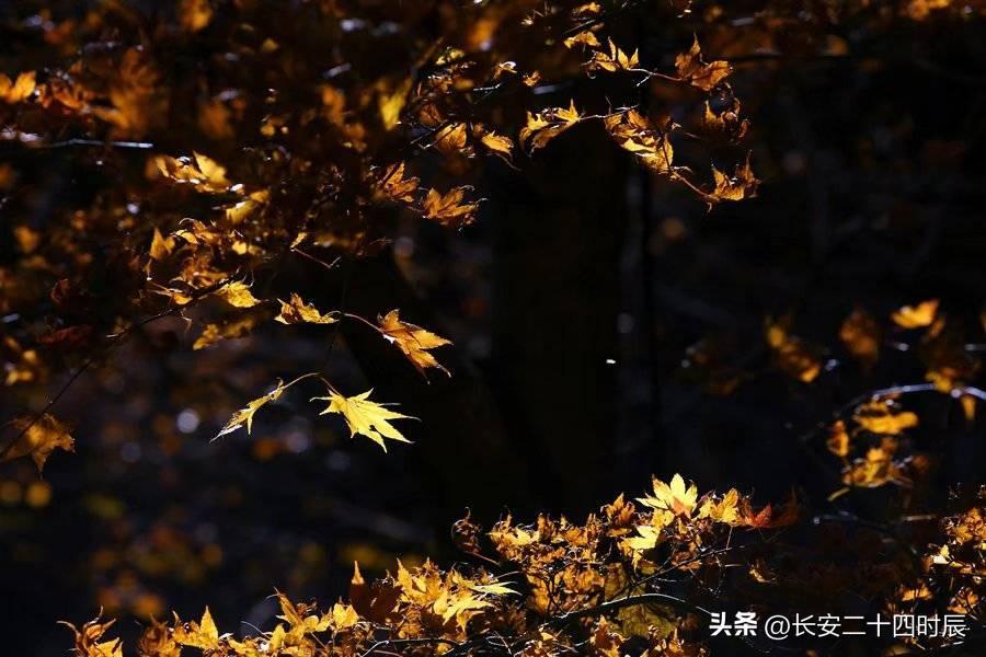 自駕游太白山旅游攻略_太白山自駕游攻略_自駕太白山旅游攻略一日游