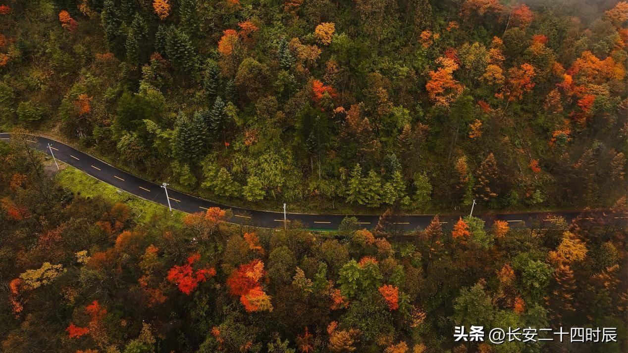 自駕太白山旅游攻略一日游_太白山自駕游攻略_自駕游太白山旅游攻略