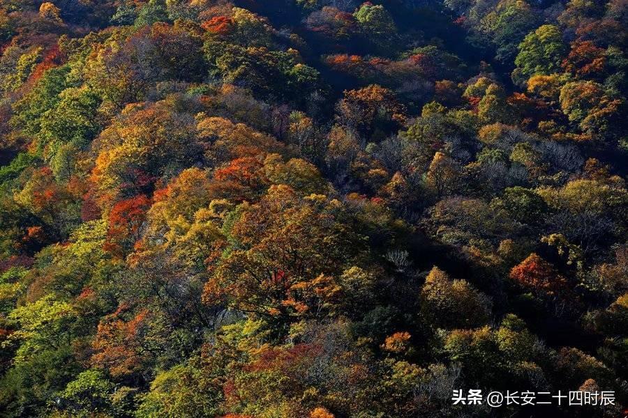 自駕太白山旅游攻略一日游_自駕游太白山旅游攻略_太白山自駕游攻略