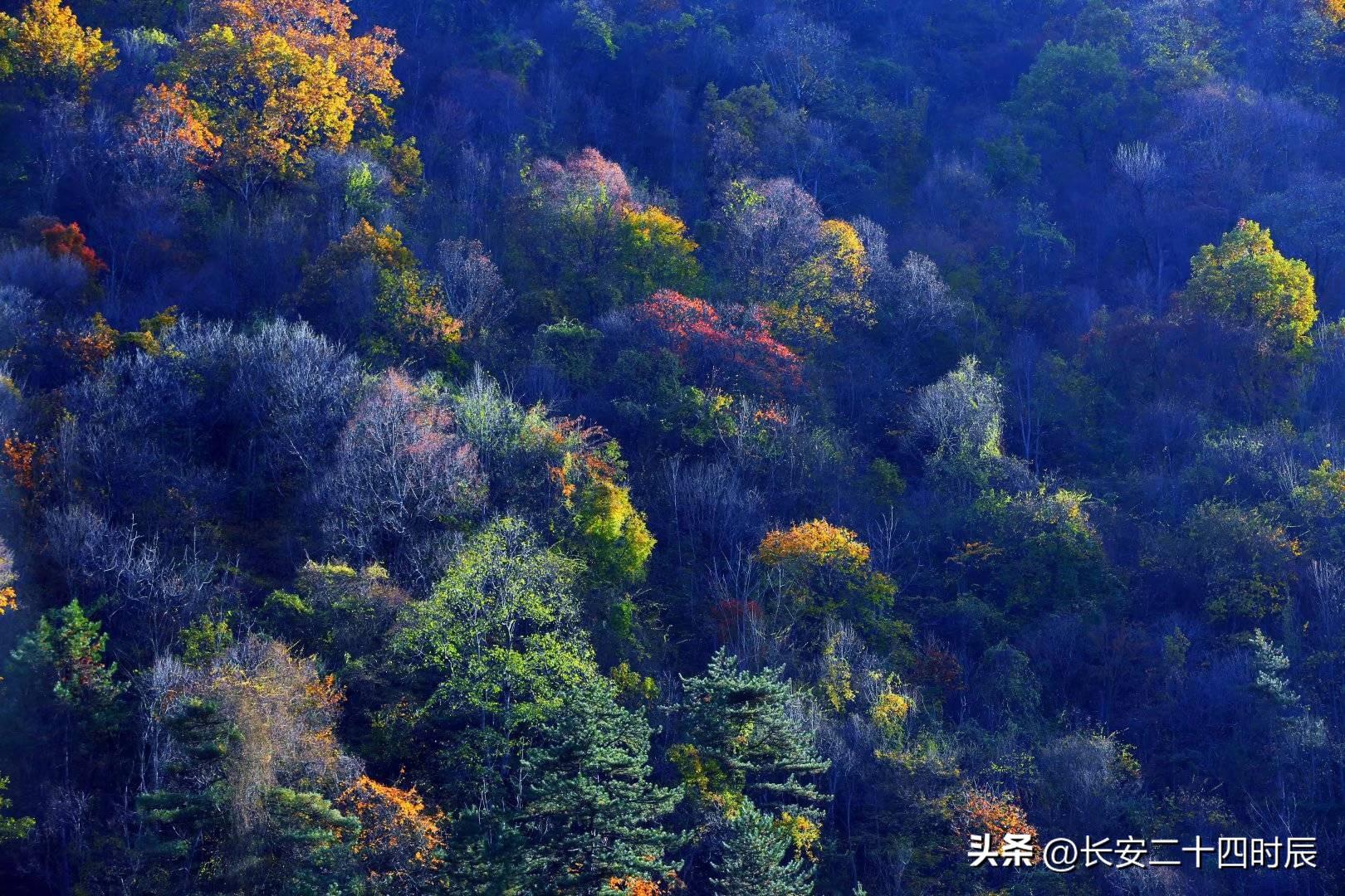 自駕游太白山旅游攻略_太白山自駕游攻略_自駕太白山旅游攻略一日游