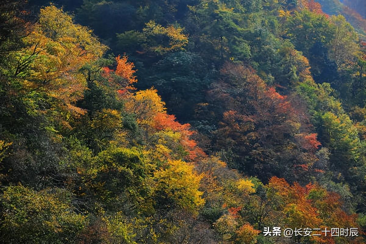 自駕游太白山旅游攻略_自駕太白山旅游攻略一日游_太白山自駕游攻略