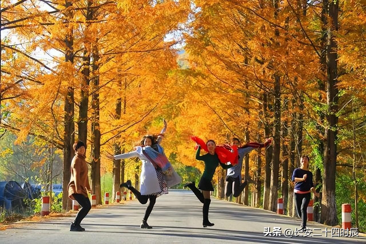 自駕游太白山旅游攻略_太白山自駕游攻略_自駕太白山旅游攻略一日游