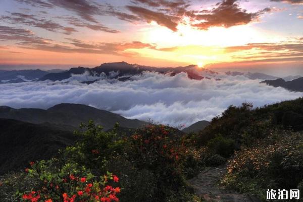 賀州姑婆山在哪個位置_賀州姑婆山旅游攻略_賀州姑婆山山頂照片