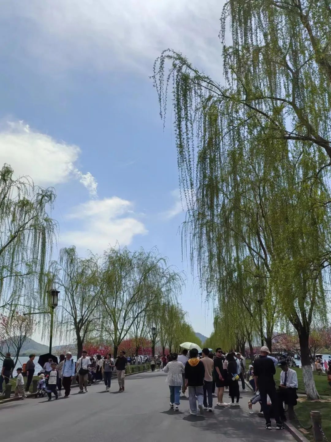 蘇州3天2夜旅游攻略_4天3夜適合去哪里旅游_蘇州自由行2天旅游攻略