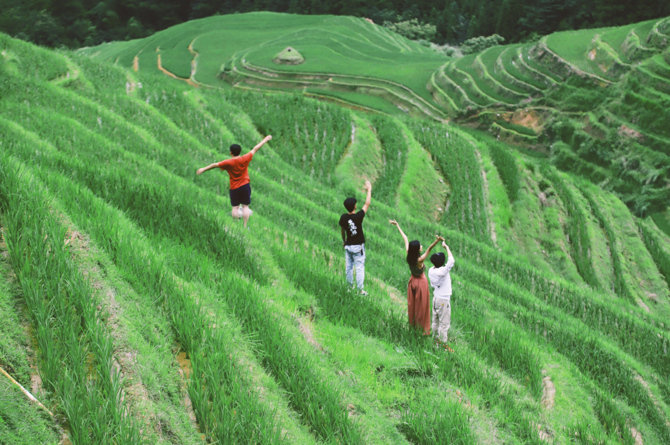 梯田旅游攻略_梯田旅游_梯田景點