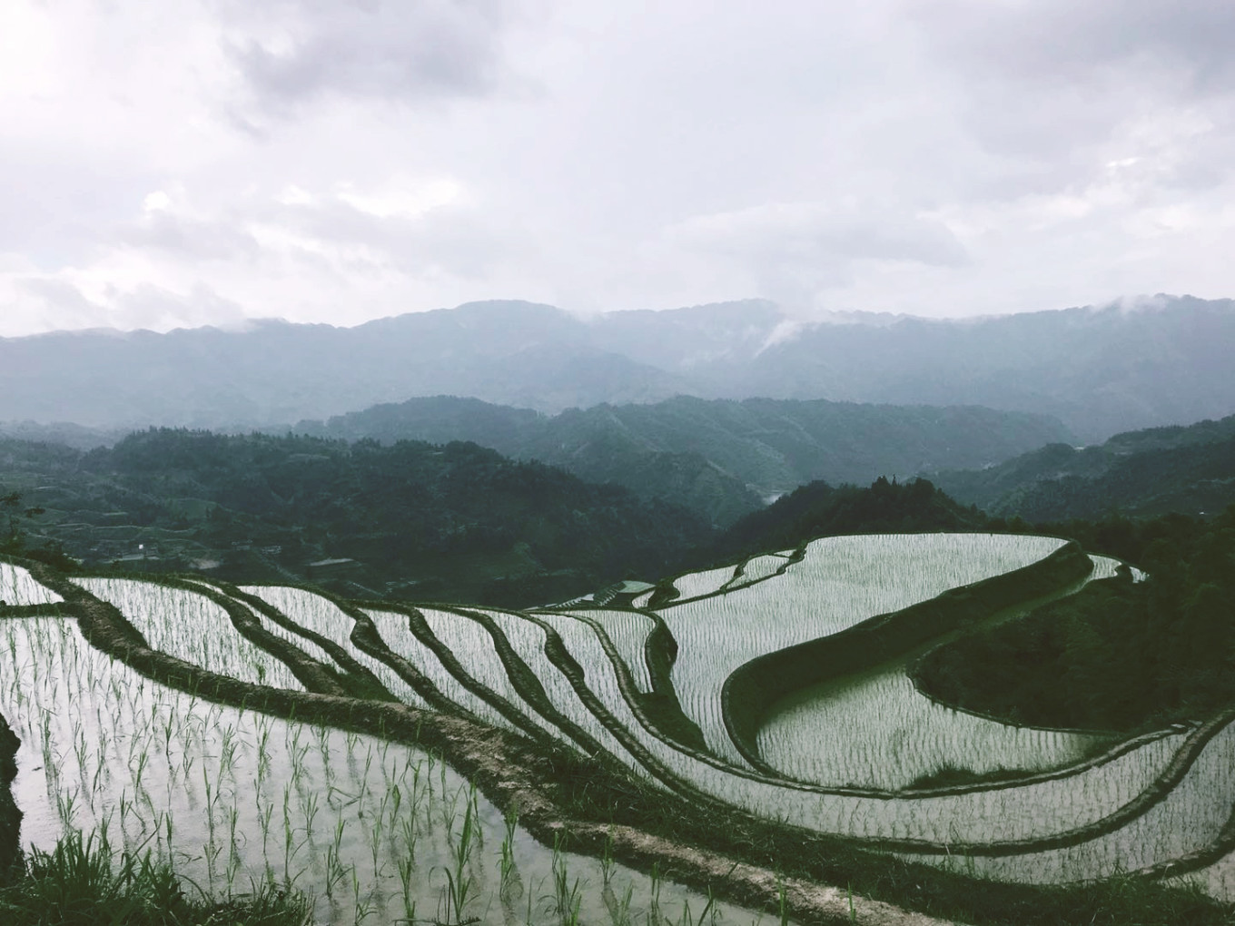 梯田旅游攻略_梯田景點_梯田旅游
