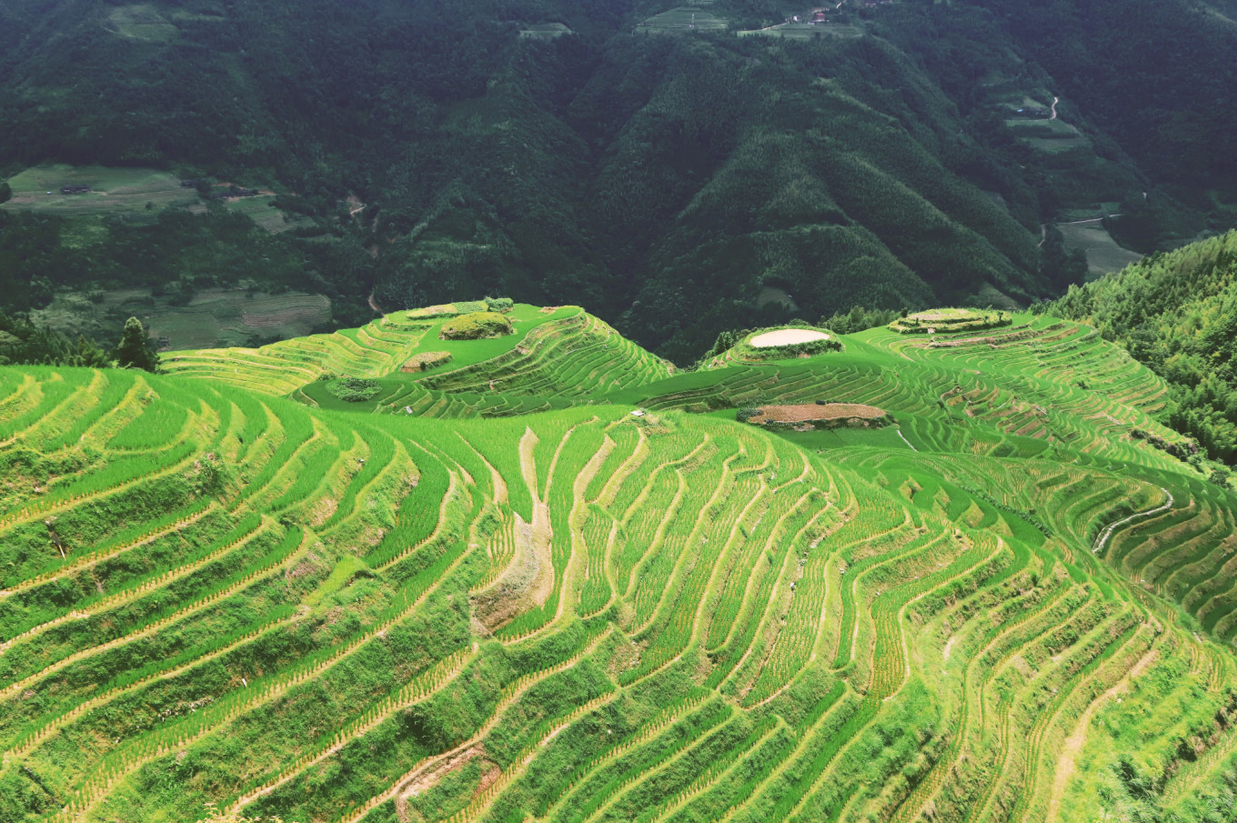 梯田旅游_梯田景點_梯田旅游攻略