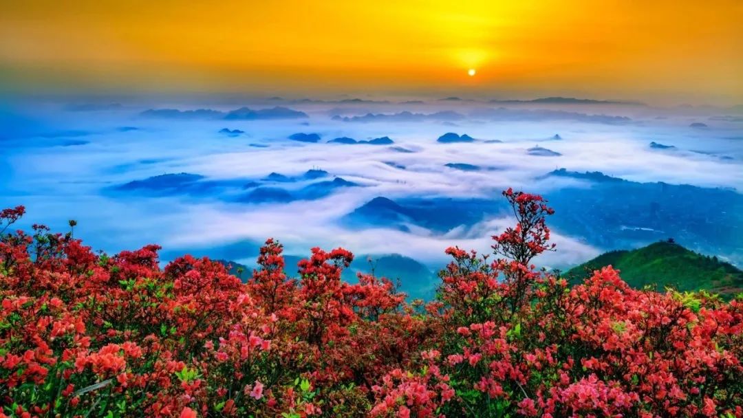 麗水龍泉旅游攻略一天游_麗水旅游景點龍泉_麗水龍泉山旅游攻略