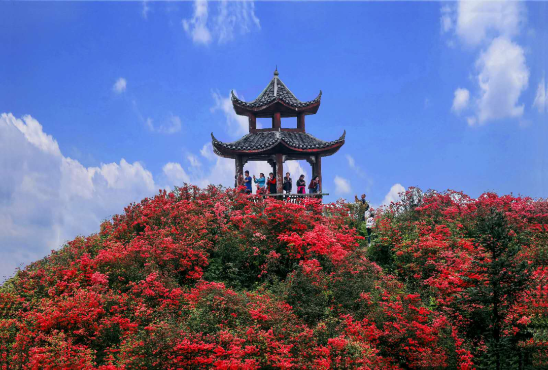麗水龍泉旅游攻略一天游_麗水龍泉山旅游攻略_麗水旅游景點龍泉