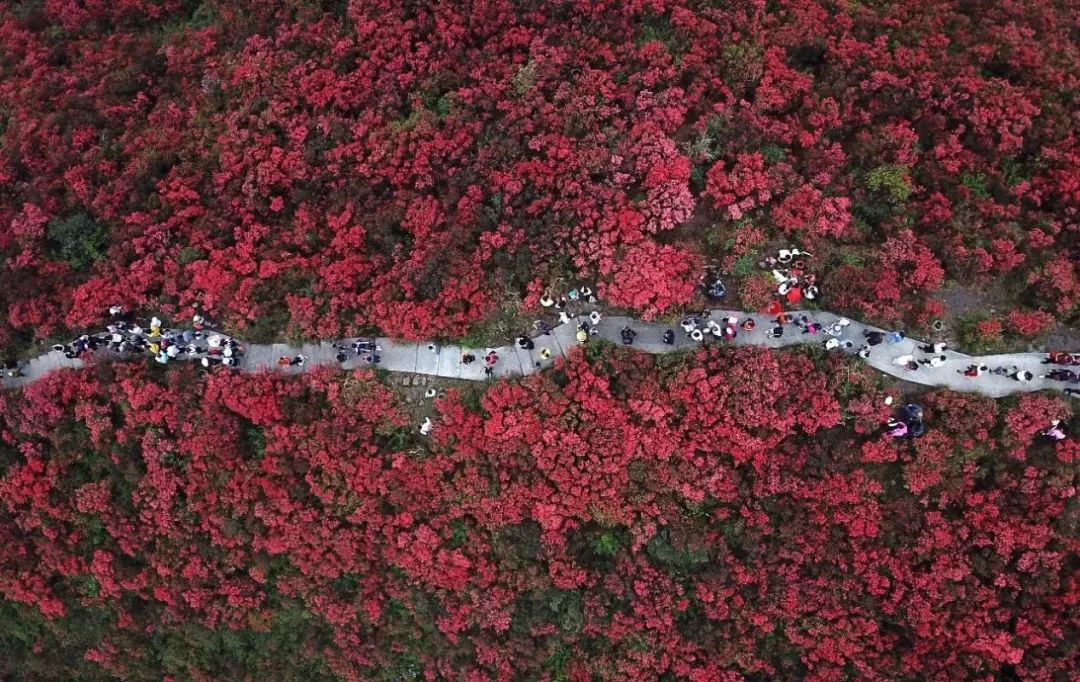 麗水龍泉山旅游攻略_麗水旅游景點龍泉_麗水龍泉旅游攻略一天游