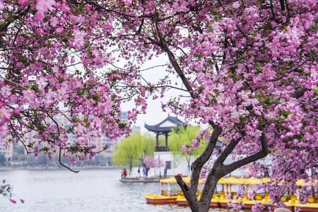 攻略南京旅游慢城的路線_南京慢城旅游攻略_南京漫城旅游攻略