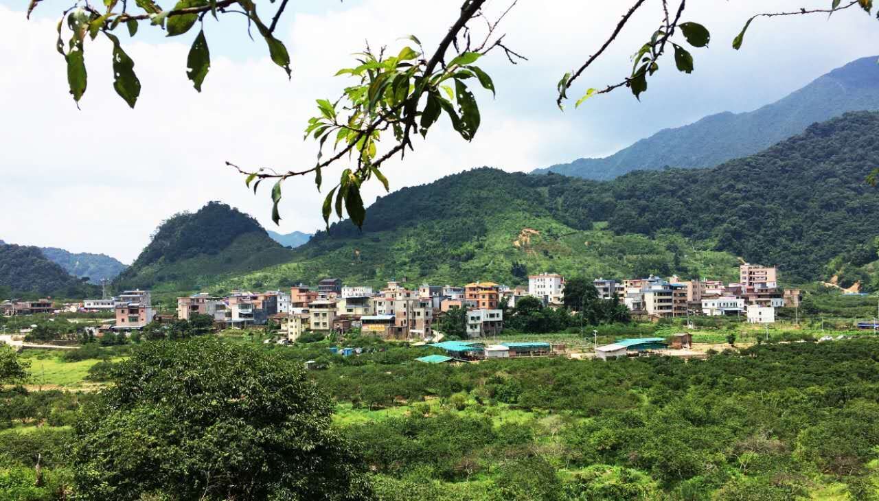 潮州溪美村旅游攻略_潮州溪美有什么玩_潮卅溪美村景點