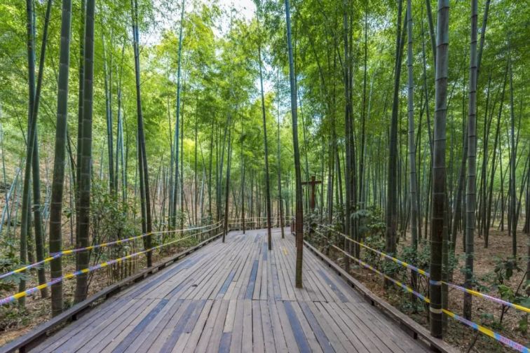 江蘇南京旅游景點攻略_江蘇南京旅游必去十大景點推薦_江蘇南京旅游景點大全景點排名