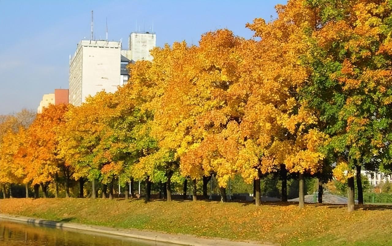 九寨溝攻略旅游攻略圖_九寨溝了旅游攻略_九寨溝攻略旅游攻略一日游