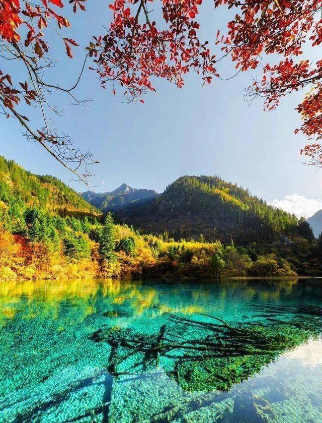 九寨溝了旅游攻略_九寨溝攻略旅游攻略一日游_九寨溝攻略旅游攻略圖