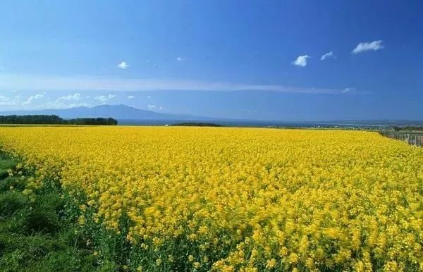 泰山村風(fēng)景區(qū)_長泰山重村旅游攻略_泰山村門票