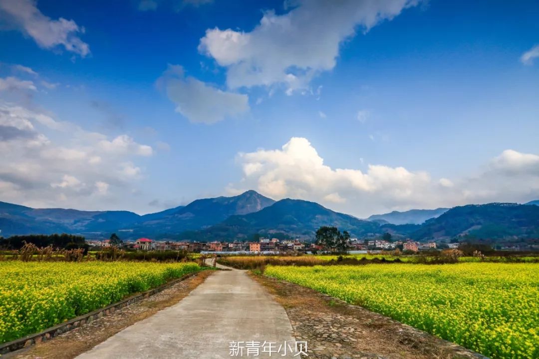 泰山村風(fēng)景區(qū)_泰山村門票_長泰山重村旅游攻略
