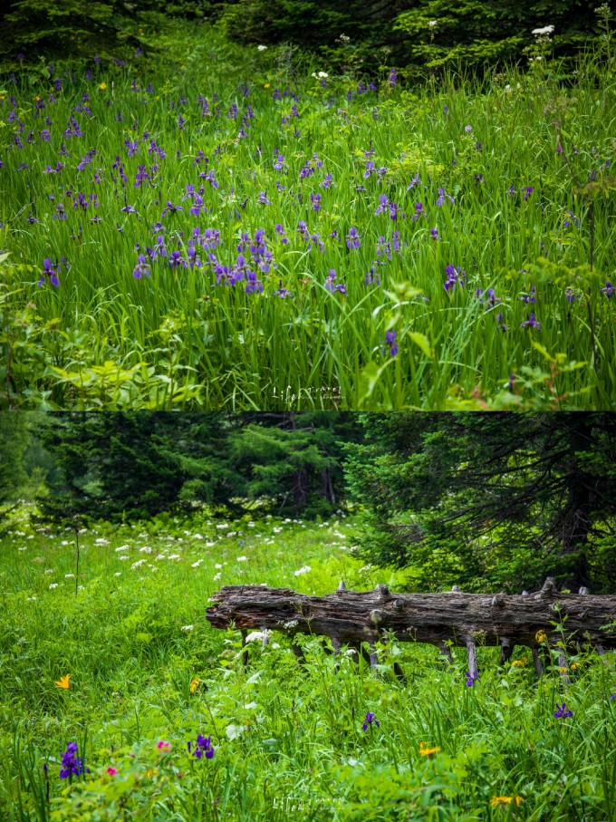 長白山旅游南坡_長白山南坡自駕游玩攻略_長白山南坡攻略