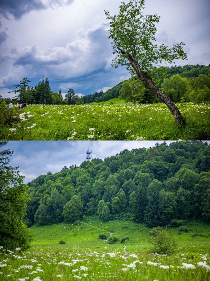 長白山南坡自駕游玩攻略_長白山旅游南坡_長白山南坡攻略