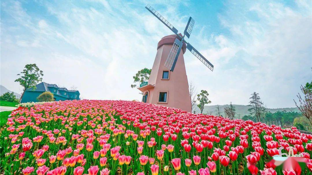 常卅淹城春秋樂園_常州春秋淹城樂園攻略_常州淹城春秋樂園游樂設施